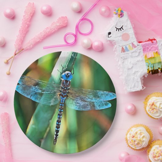 Fantasy Dragonfly in Türkis und Schwarz Pappteller (Party)