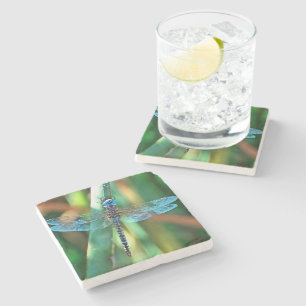 Fantasy Dragonfly in Türkis und Schwarz Steinuntersetzer