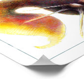 Fantasy Fish Poster: Sid Fishil Poster (Ecke)