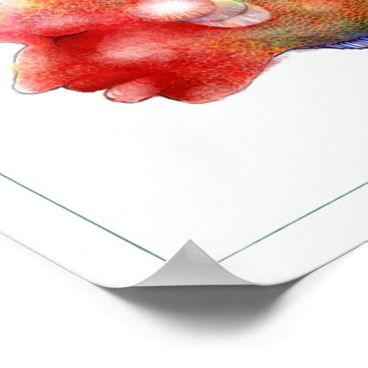 Fantasy Fish Poster: Tripper Poster (Ecke)