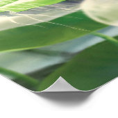 Fantasy Floating City with Nature - Poster (Ecke)