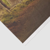 Fantasy Forest Gothic 20x30 Dekoupage Tissue Seidenpapier (Ausschnitt)