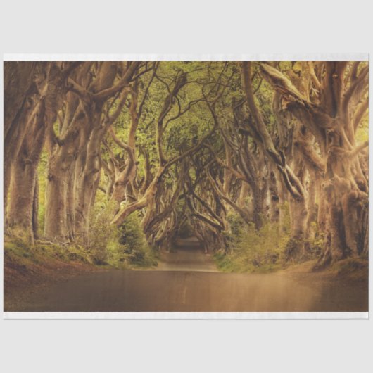 Fantasy Forest Gothic 20x30 Dekoupage Tissue Seidenpapier (Vorderseite)