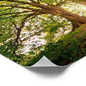 Fantasy Forest Poster (Ecke)