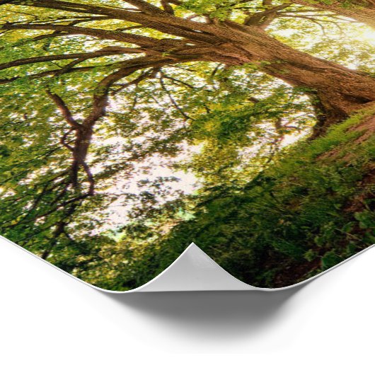 Fantasy Forest Poster (Ecke)