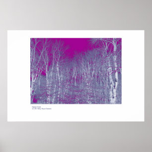 Fantasy Forest Poster