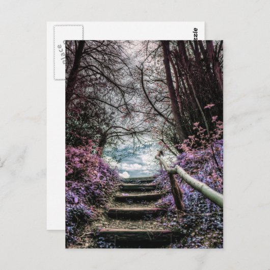 Fantasy Forest Steps Postkarte (Vorne/Hinten)