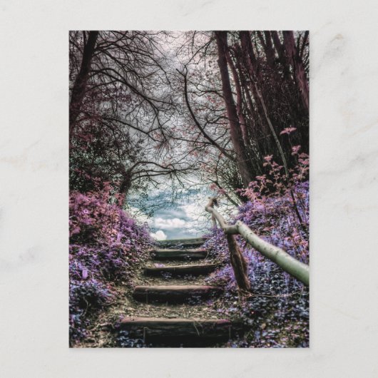 Fantasy Forest Steps Postkarte (Vorderseite)
