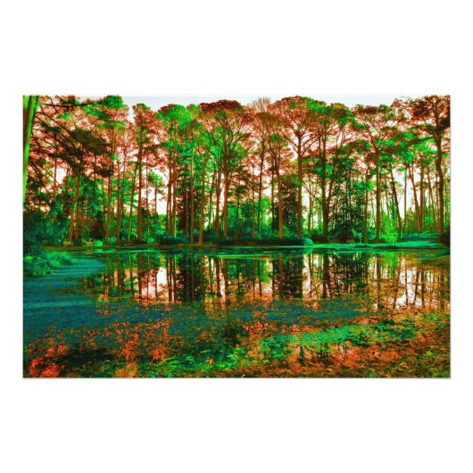 Fantasy Forest von Shirley Taylor Fotodruck (Vorne)