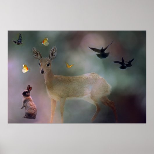 Fantasy für Kleintiere Poster (Vorne)
