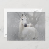 Fantasy Horse Postkarte (Vorne/Hinten)