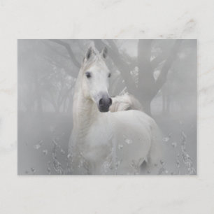 Fantasy Horse Postkarte