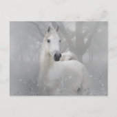 Fantasy Horse Postkarte (Vorderseite)