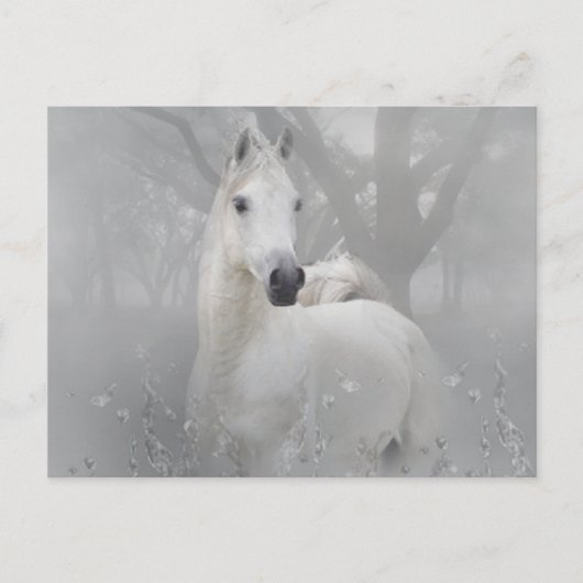 Fantasy Horse Postkarte (Vorderseite)