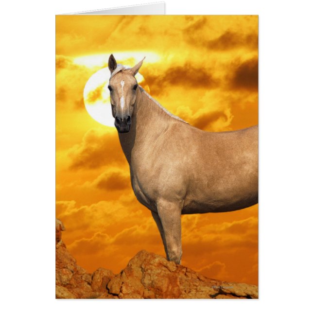 Fantasy Horses: Berg (Vorne)