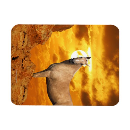 Fantasy Horses: Berg Magnet (Horizontal)