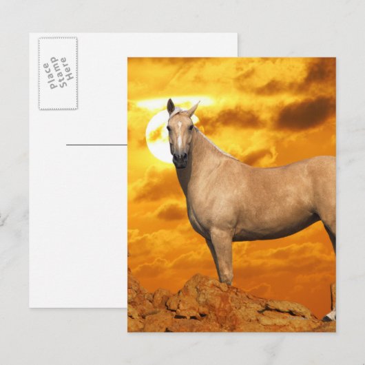 Fantasy Horses: Berg Postkarte (Vorne/Hinten)