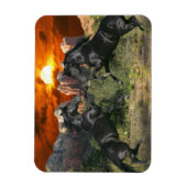 Fantasy Horses: Black Magic Magnet (Vertikal)