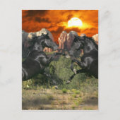 Fantasy Horses: Black Magic Postkarte (Vorderseite)