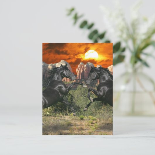 Fantasy Horses: Black Magic Postkarte (Stehend Vorderseite)