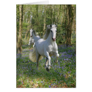 Fantasy Horses: Bluebell Wood