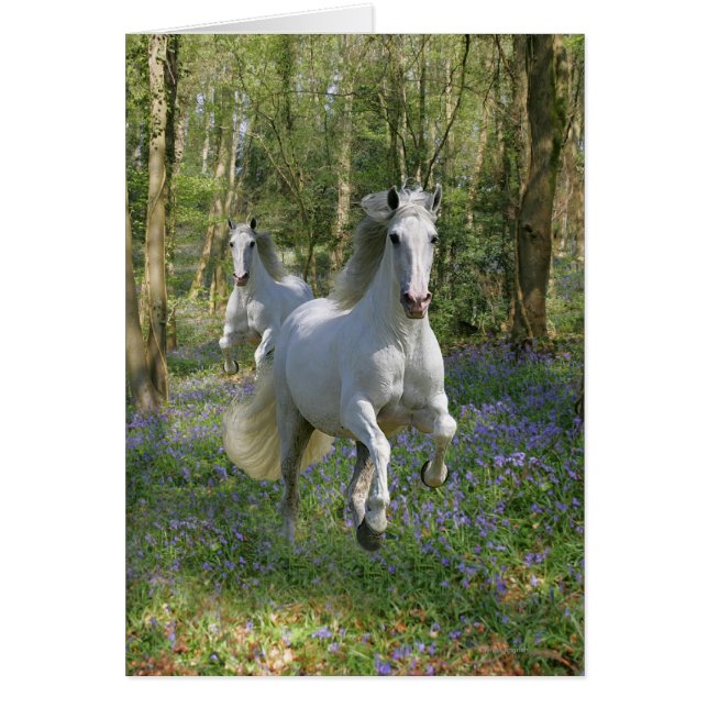 Fantasy Horses: Bluebell Wood (Vorne)