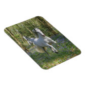 Fantasy Horses: Bluebell Wood Magnet (Rechte Seite)