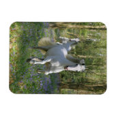 Fantasy Horses: Bluebell Wood Magnet (Horizontal)