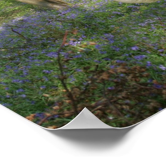 Fantasy Horses: Bluebell Wood Poster (Ecke)