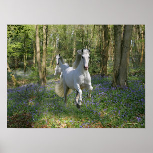 Fantasy Horses: Bluebell Wood Poster