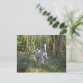 Fantasy Horses: Bluebell Wood Postkarte (Stehend Vorderseite)