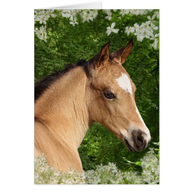 Fantasy Horses: Blume (Vorne)