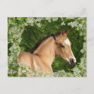 Fantasy Horses: Flowers Postkarte