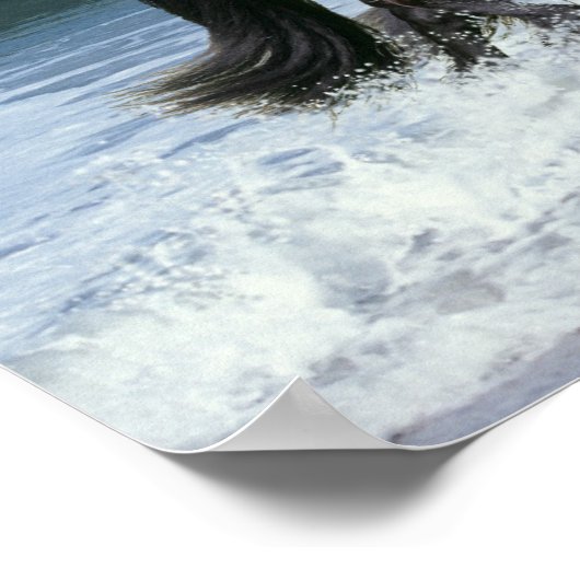 Fantasy Horses: Friesians & Sea Poster (Ecke)