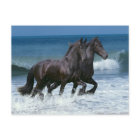 Fantasy Horses: Friesians & Sea