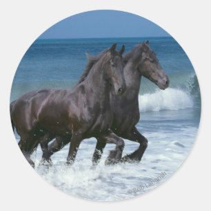 Fantasy Horses: Friesians & Sea Runder Aufkleber