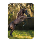 Fantasy Horses: Kriegerprinz Magnet (Vertikal)