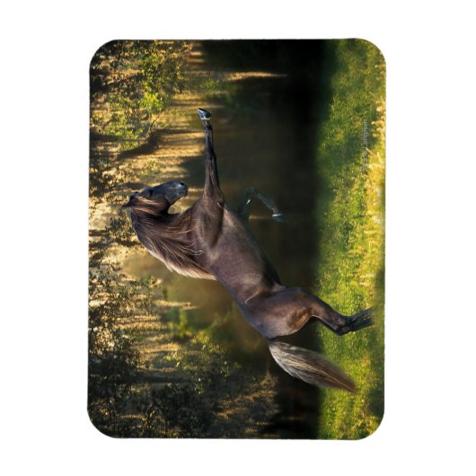 Fantasy Horses: Kriegerprinz Magnet (Vertikal)