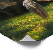 Fantasy Horses: Kriegerprinz Poster (Ecke)