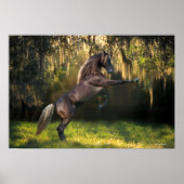 Fantasy Horses: Kriegerprinz Poster (Vorne)