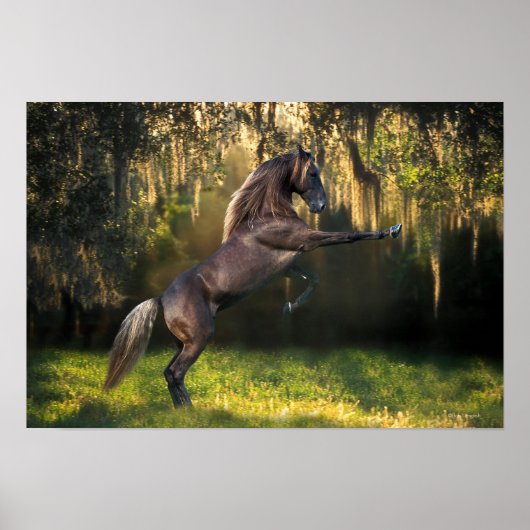 Fantasy Horses: Kriegerprinz Poster (Vorne)