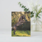 Fantasy Horses: Kriegerprinz Postkarte (Stehend Vorderseite)