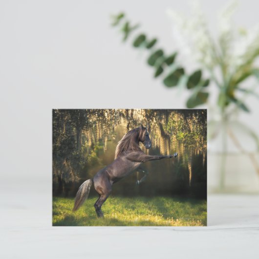 Fantasy Horses: Kriegerprinz Postkarte (Stehend Vorderseite)