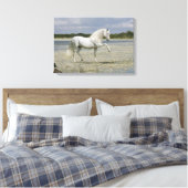 Fantasy Horses: Lord of the Lake Leinwanddruck (Insitu (Schlafzimmer))