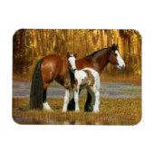 Fantasy Horses: Mare & Foal Magnet (Horizontal)