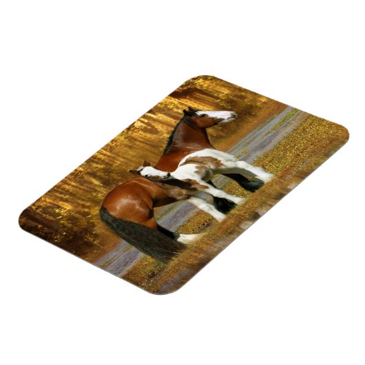 Fantasy Horses: Mare & Foal Magnet (Linke Seite)