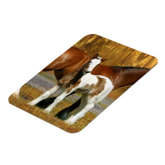 Fantasy Horses: Mare & Foal Magnet (Linke Seite)