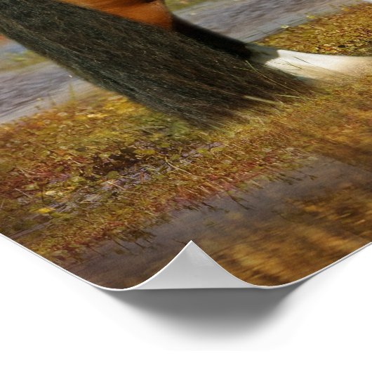 Fantasy Horses: Mare & Foal Poster (Ecke)