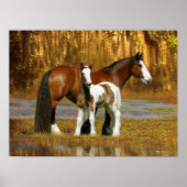 Fantasy Horses: Mare & Foal Poster (Vorne)