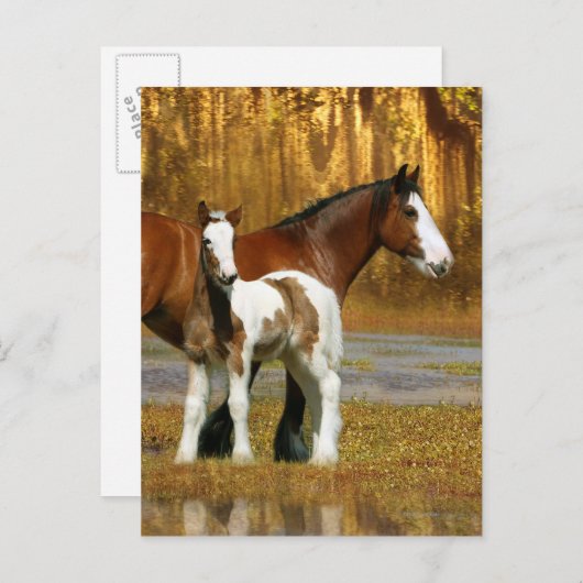 Fantasy Horses: Mare & Foal Postkarte (Vorne/Hinten)